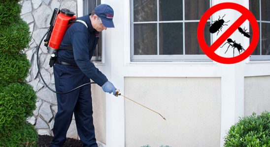 Turgutlu Akrep İlaçlama böcek ilaçlama ve haşere kontrolü — ilaclama-tr.com